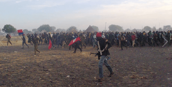 The wild white armies in Upper Nile State(photo: supplied)