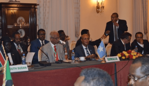 An extraordinary session of the IGAD heads of states meeting in the Ethiopian capital, Addis Ababa, on 10 June 2014 (IGAD photo)