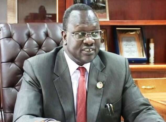 Dr. Riek Machar Teny, The Former Vice President, Chairman and Commander in Chief of SPLM/SPLA(Photo: supplied)