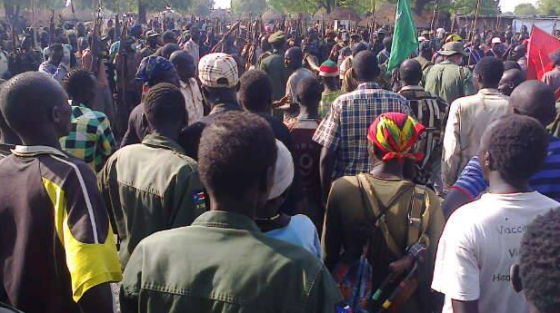 The Lou Nuer White armies gathering at undisclosed location, listening to a briefing. The youth have resorted to defending themselves and their counties from Salva Kiir's regime. Nine months and counting they control their territories(Photo: supplied)