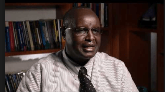 Mwangi S. Kimenyi is senior fellow and director of the Africa Growth Initiative and currently serves as advisory board member of the School of Economics, University of Nairobi.(Photo credits: Brookings Podcast)