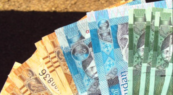 The Official S. Sudanese Currency launched in 2011(Photo: file/Nyamilepedia)