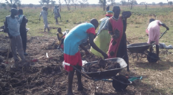 People digging a piece of land in Ayod county(Photo: via Gawaar Youth Forum)