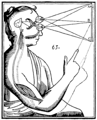 René Descartes' illustration of mind/body dualism(Source: Wikipedia)