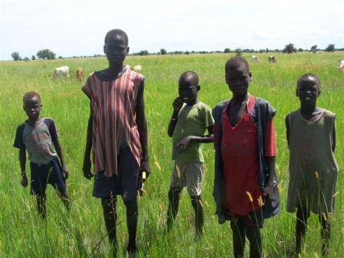 Lou Nuer boys and their cattle grazing in green pasture in Greater Lou Nuer area(Photo: file)