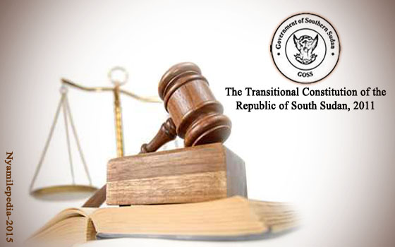 South Sudan, Constitution cover image.
