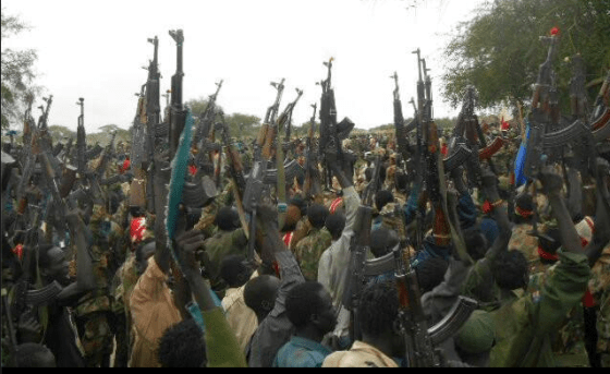 The reformed white armies, after aquiring weapons from the battle fields and unknown sources(Photo: file)