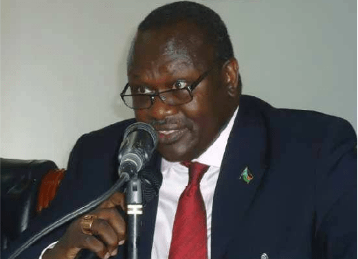 Dr. Riek Machar Teny, the first vice preisdent of South Sudan who returns to bush to fight for democracy after Self-determination(Photo: file)