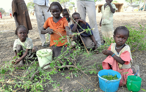 Children sort through leaves to eat, Jamam camp, South Sudan...