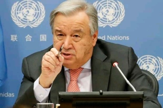 FB_IMG_15687053391549873