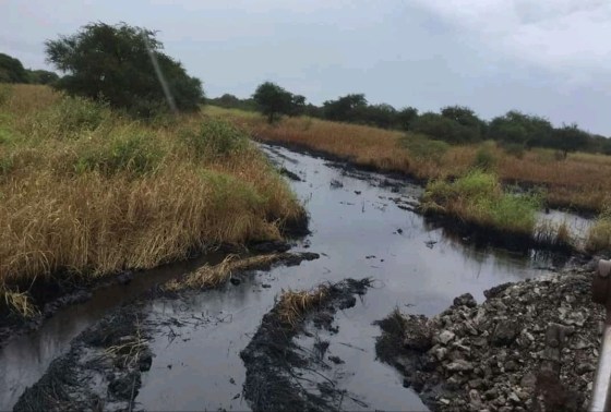 IMG_20191003_081600_524